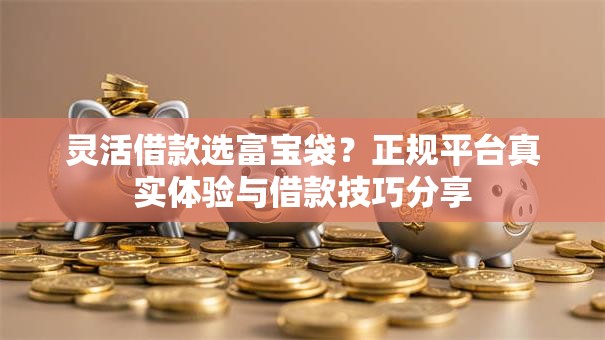 灵活借款选富宝袋？正规平台真实体验与借款技巧分享