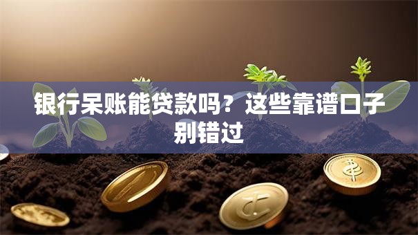 银行呆账能贷款吗？这些靠谱口子别错过