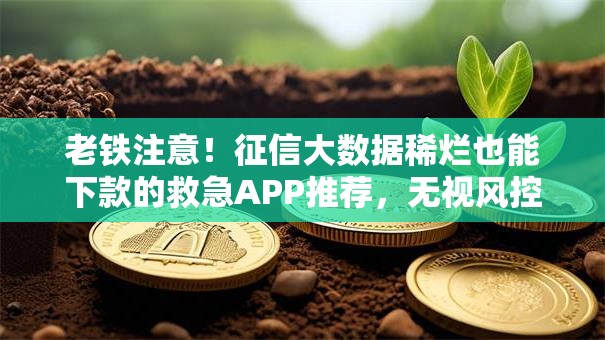 老铁注意！征信大数据稀烂也能下款的救急APP推荐，无视风控秒到账