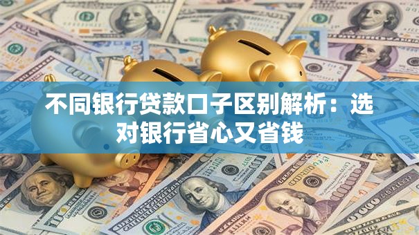 不同银行贷款口子区别解析：选对银行省心又省钱