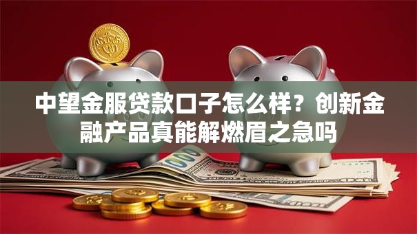 中望金服贷款口子怎么样？创新金融产品真能解燃眉之急吗