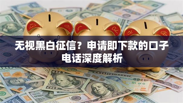 无视黑白征信？申请即下款的口子电话深度解析
