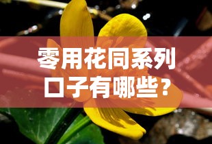 零用花同系列口子有哪些？这几个平台亲测靠谱！