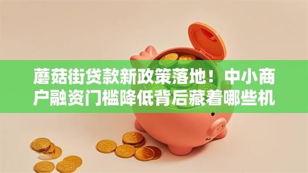 蘑菇街贷款新政策落地！中小商户融资门槛降低背后藏着哪些机会？