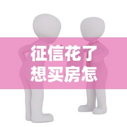 征信花了想买房怎么办？三步解决贷款难题