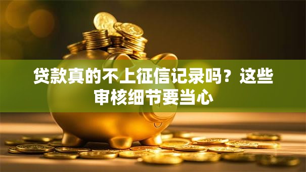 贷款真的不上征信记录吗？这些审核细节要当心
