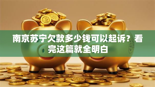 南京苏宁欠款多少钱可以起诉？看完这篇就全明白