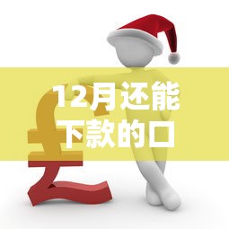 12月还能下款的口子有哪些？老哥实测靠谱推荐