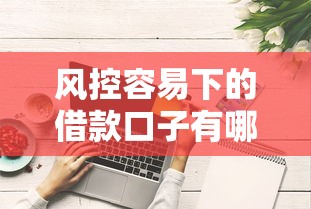 风控容易下的借款口子有哪些？这些技巧帮你轻松过审