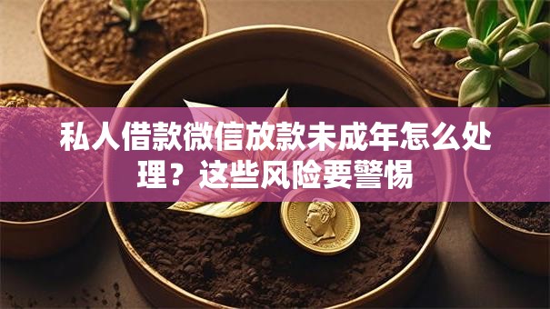 私人借款微信放款未成年怎么处理？这些风险要警惕