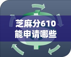 芝麻分610能申请哪些平台？高效率贷款服务推荐指南