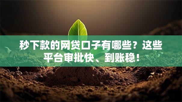 秒下款的网贷口子有哪些？这些平台审批快、到账稳！
