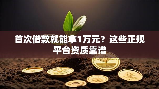 首次借款就能拿1万元？这些正规平台资质靠谱
