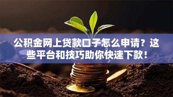 公积金网上贷款口子怎么申请？这些平台和技巧助你快速下款！