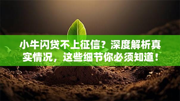 小牛闪贷不上征信？深度解析真实情况，这些细节你必须知道！