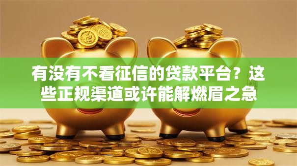 有没有不看征信的贷款平台？这些正规渠道或许能解燃眉之急
