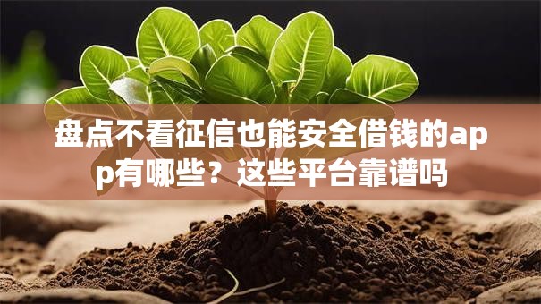 盘点不看征信也能安全借钱的app有哪些？这些平台靠谱吗