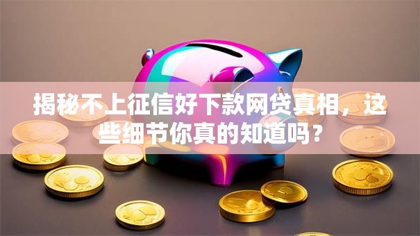 揭秘不上征信好下款网贷真相，这些细节你真的知道吗？