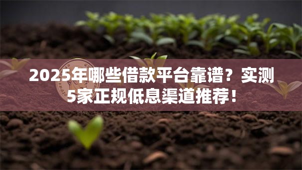 2025年哪些借款平台靠谱？实测5家正规低息渠道推荐！