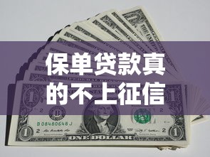 保单贷款真的不上征信吗？一文看懂贷款规则与风险