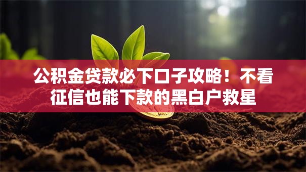 公积金贷款必下口子攻略！不看征信也能下款的黑白户救星