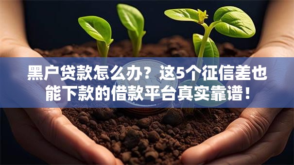黑户贷款怎么办？这5个征信差也能下款的借款平台真实靠谱！