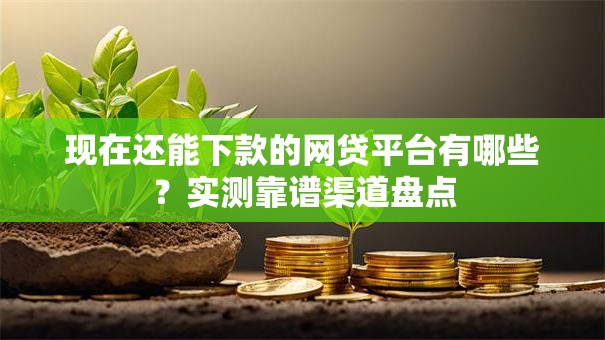 现在还能下款的网贷平台有哪些？实测靠谱渠道盘点