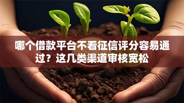 哪个借款平台不看征信评分容易通过？这几类渠道审核宽松