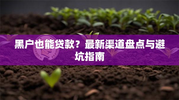 黑户也能贷款？最新渠道盘点与避坑指南