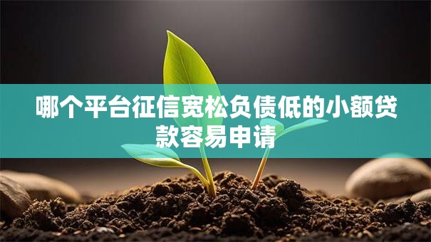 哪个平台征信宽松负债低的小额贷款容易申请