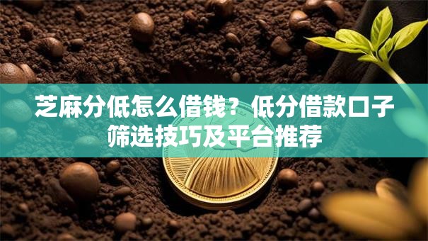 芝麻分低怎么借钱？低分借款口子筛选技巧及平台推荐