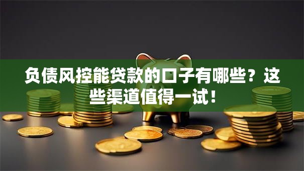 负债风控能贷款的口子有哪些？这些渠道值得一试！