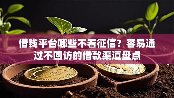 借钱平台哪些不看征信？容易通过不回访的借款渠道盘点
