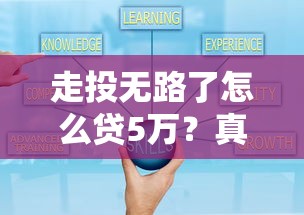 走投无路了怎么贷5万？真实可靠渠道盘点与避坑指南