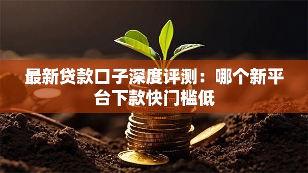 最新贷款口子深度评测：哪个新平台下款快门槛低