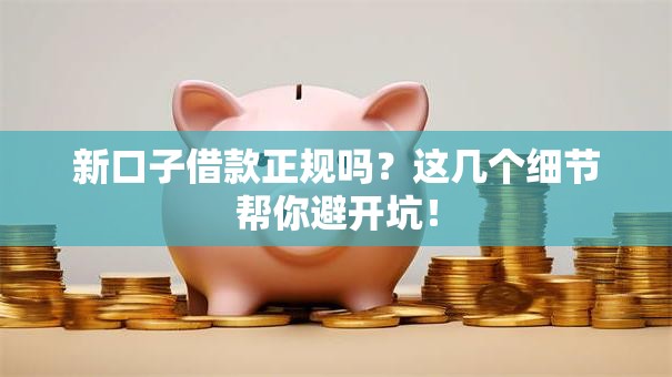 新口子借款正规吗？这几个细节帮你避开坑！