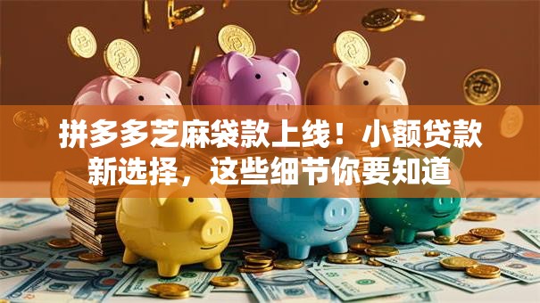 拼多多芝麻袋款上线！小额贷款新选择，这些细节你要知道
