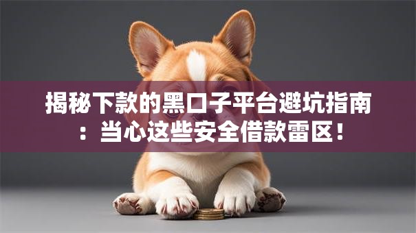 揭秘下款的黑口子平台避坑指南：当心这些安全借款雷区！