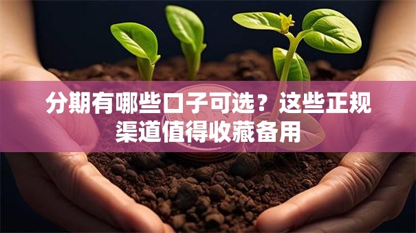 分期有哪些口子可选？这些正规渠道值得收藏备用