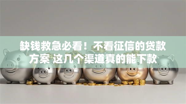 缺钱救急必看！不看征信的贷款方案 这几个渠道真的能下款