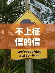 不上征信的借款能做吗？这3个风险你必须要懂！