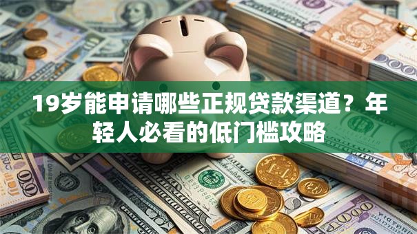 19岁能申请哪些正规贷款渠道？年轻人必看的低门槛攻略