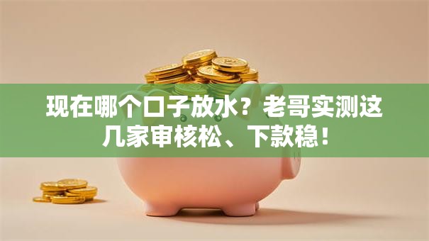 现在哪个口子放水？老哥实测这几家审核松、下款稳！