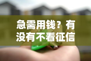 急需用钱？有没有不看征信的借钱平台？这些渠道可能帮到你！