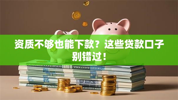 资质不够也能下款？这些贷款口子别错过！