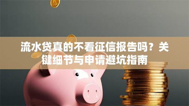 流水贷真的不看征信报告吗？关键细节与申请避坑指南