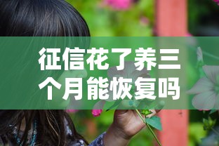 征信花了养三个月能恢复吗？过来人分享实用修复技巧