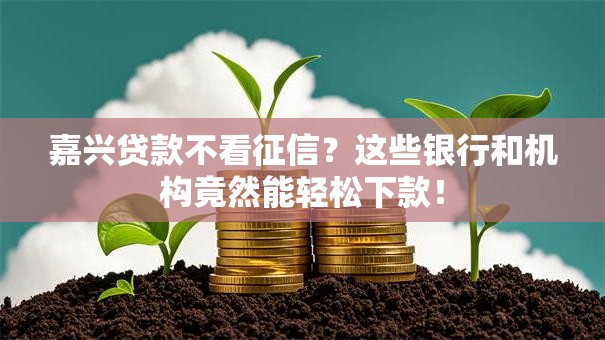 嘉兴贷款不看征信？这些银行和机构竟然能轻松下款！