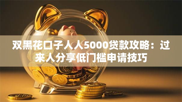 双黑花口子人人5000贷款攻略：过来人分享低门槛申请技巧