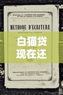 白猫贷现在还能下款吗？最新审核政策与申请技巧答疑